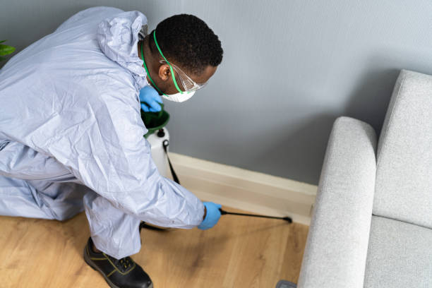 Best Pest Prevention Services  in Bruceville Eddy, TX